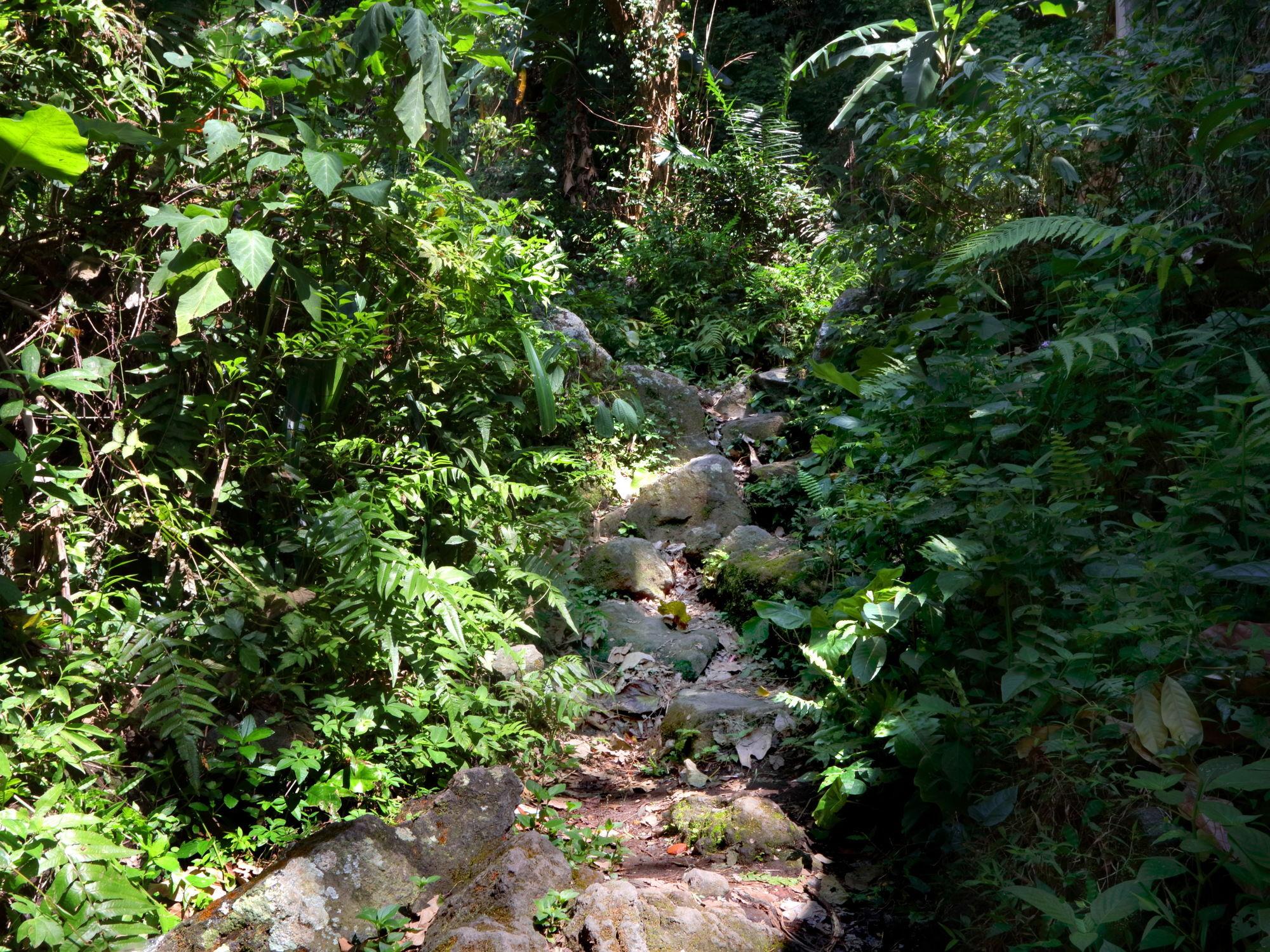 Mimpi Resort Tulamben Exterior foto